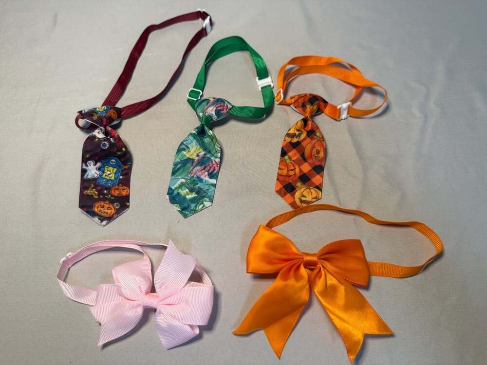 Pet Ties and Bows Set of 5